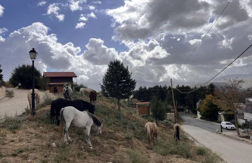 Cara norte de Gredos - Photo 64