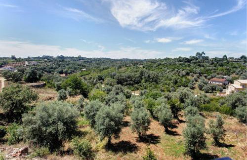 Casa Do Pião - Turismo Rural - Photo 39