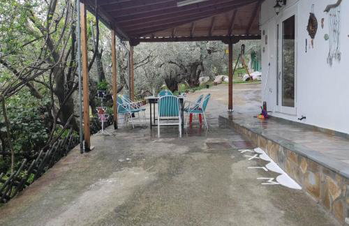 Colors Apartments Pilio - Photo 24