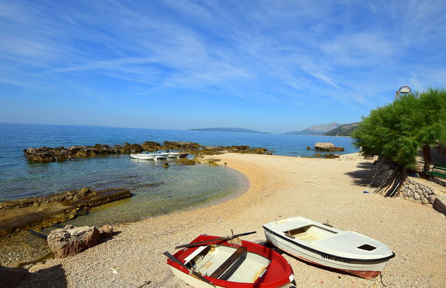 Plavac Mali - Foto 30