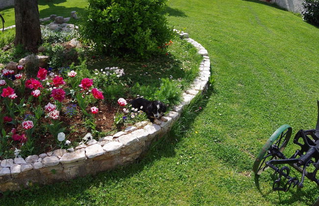 Holiday Home in Sajini With Pool Near Beach - Foto 25