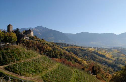 AMELIA apartments - Foto 47