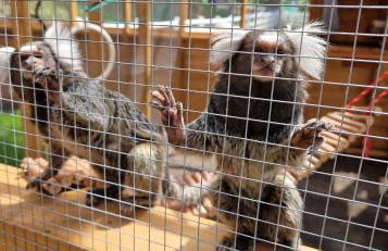 Agroturystyka Zielony Zakątek w Wiewiecku - Foto 26