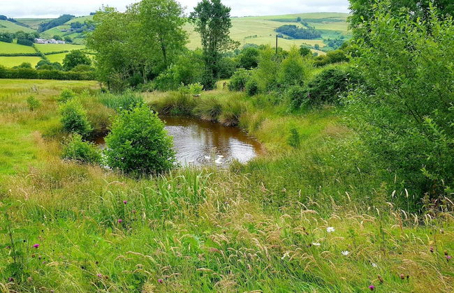 Foxglove Holiday Private Eco Accommodation - Foto 29