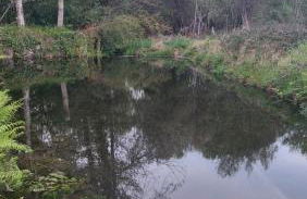 Moinho do Formigal - Foto 46