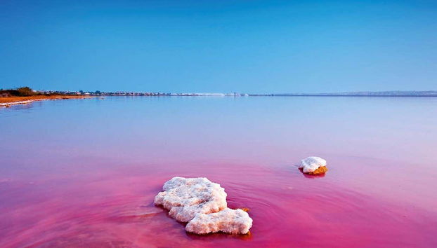 Salinas de Torrevieja