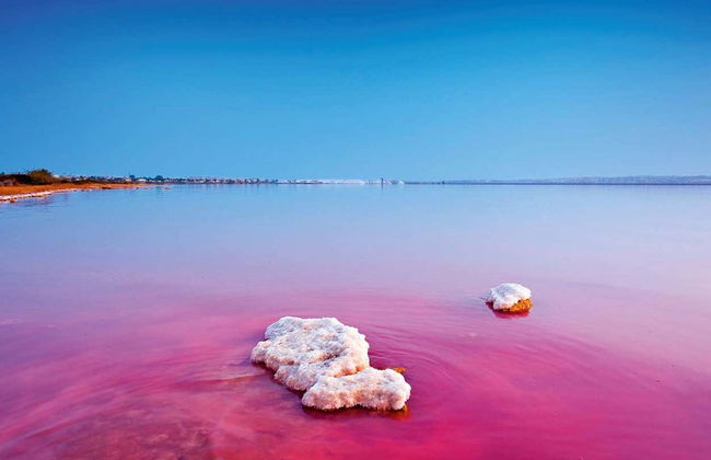 Visita guiada pelas salinas de Torrevieja - Foto 2