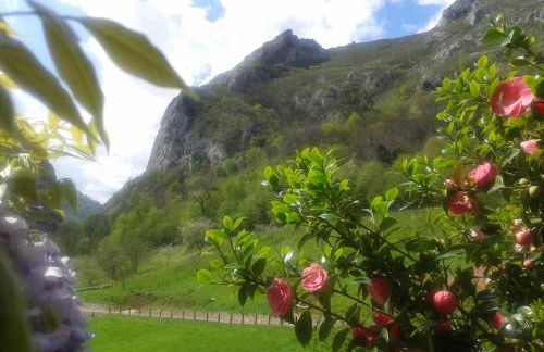 Corral de Bartolo - Foto 14