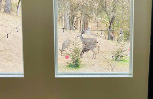 Modern House on 5 acr in Sequoia National Forest - Foto 60