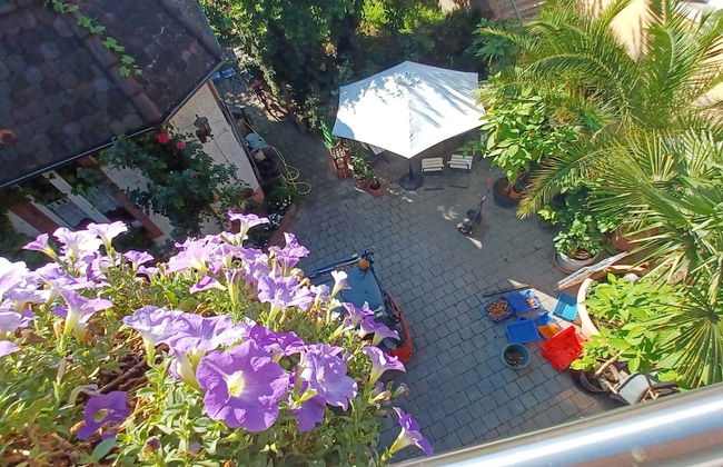 Weinberg-ferienwohnung, Oberrotweil - Foto 15