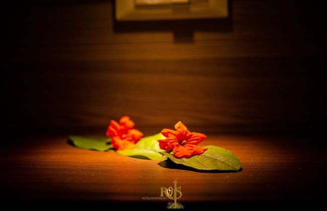 Roots Hotel Apartments - Foto 18