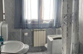 Rose e Frutta - Yellow Daisy - Foto 24