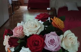 Pokój w domu z ogrodem w Milanówku - Foto 15