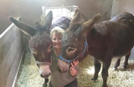 Ferienwohnung Hägelhof - Foto 27