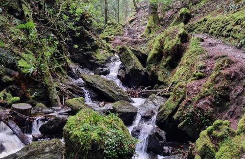 Firthview House - Foto 39