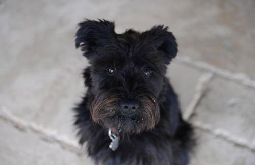 Casale dei Briganti - Foto 21