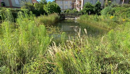 Taufrische Ferienwohnung Würzburg - Foto 4
