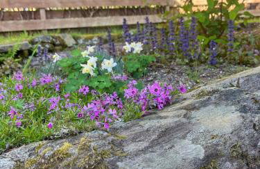 The Neuk Achmore Plockton - Foto 42