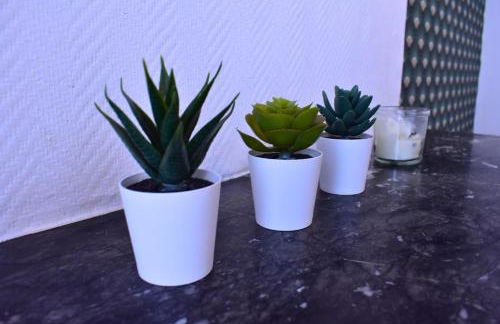 Le Camélinat T2 centre ville Proche stade et parc expo - Foto 10