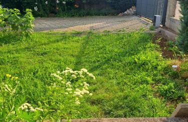 Papa's place - Foto 24