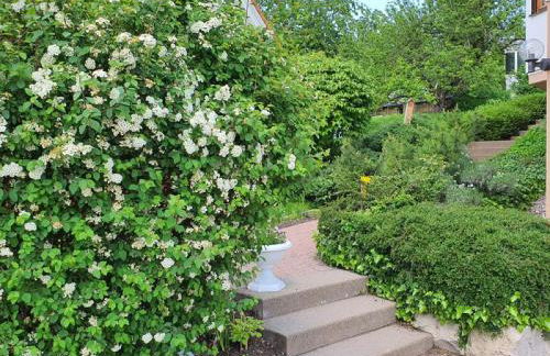 Biosphärenzimmer Bad Urach - Photo 7