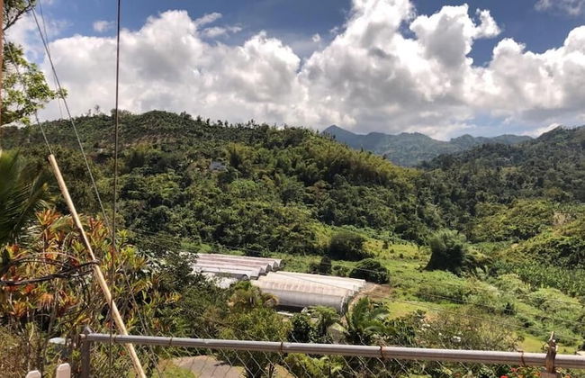 Casa del Campo - Photo 25