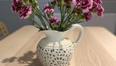 Primrose Lodge in Maldon - Foto 4