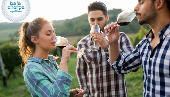 Private Deluxe Wine Tour to Valle de Guadalupe by Luxury Vehicle - Photo 1, Trio travelers wine tasting