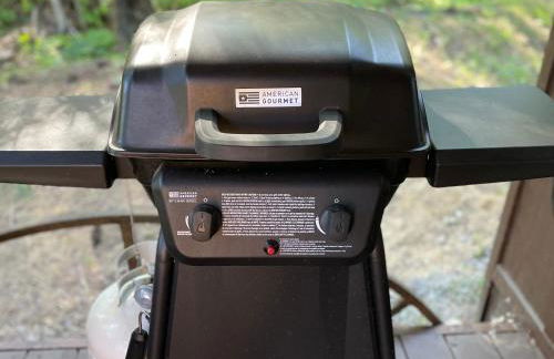 Kataluma Inn, Sandpoint, Idaho - Entire Cozy Cabin, Pet Friendly - Photo 16