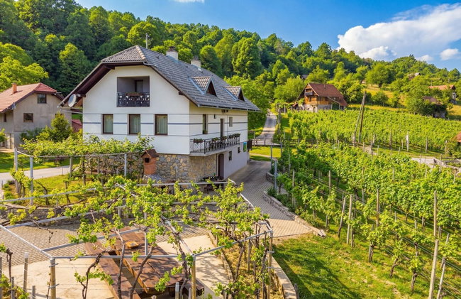 Vineyard Homestead Vrtin - Foto 1