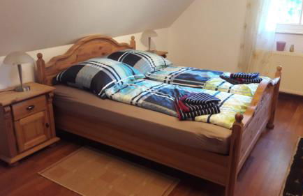 Austernfischer - Photo 6