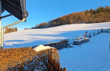 Ferienhaus Willingen Diemelsee - Foto 50