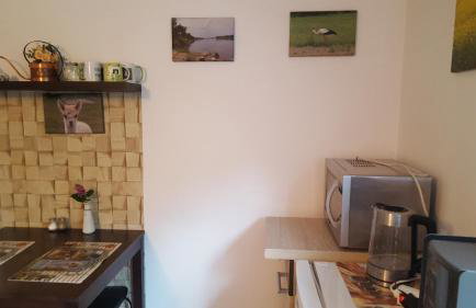 Alpaka-Ranczo AFF - Foto 61