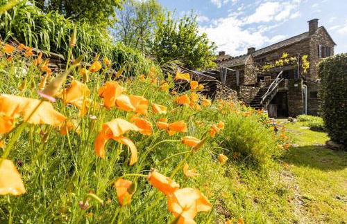 Les Hôtes du Chataignier - Foto 26