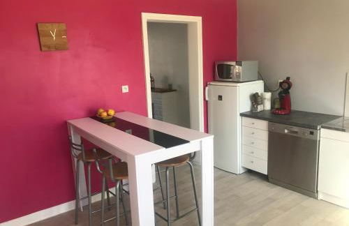 Gîte Manava - grande maison avec jardin en centre ville - Foto 2