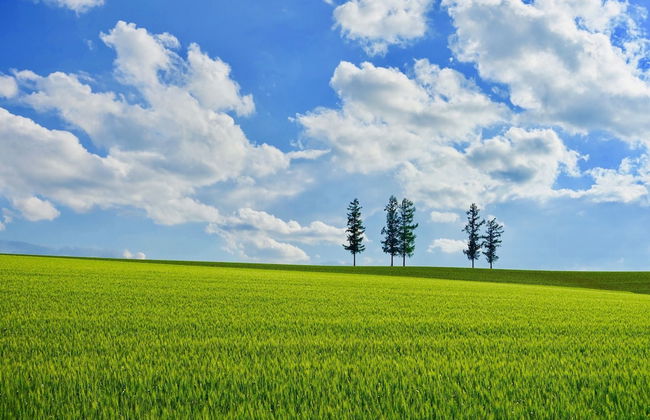 FuranoSky White - Foto 34