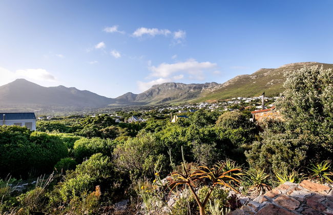 Leopardstone Hill - Photo 25