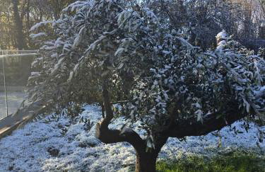 Vila Green Silence - Photo 62