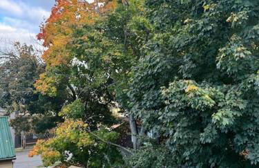 Mayor's Lake and Ski Suite - Foto 13