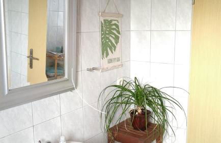 Ferienwohnung Steinwald Ausläufer mit Blick auf Kösseine - Foto 11