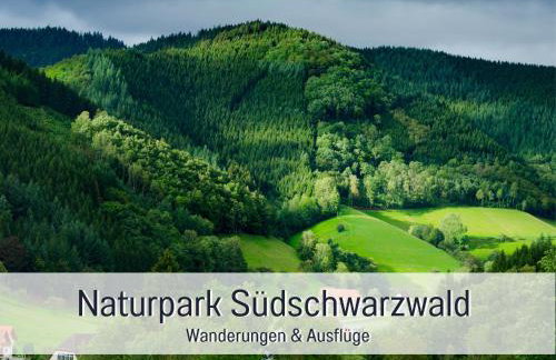 Stadtdomizil Ziegelfeld - Ruhig & Zentral, 65" TV, Südbalkon, vollausgestattete Küche, Altstadt fußläufig, Bahnhof 5-10 Min, Tiefgarage im Haus - Foto 40