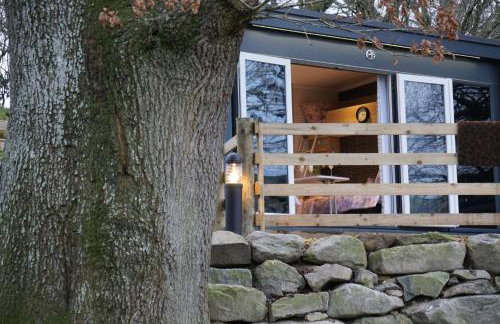 The Fox Den - Foto 7