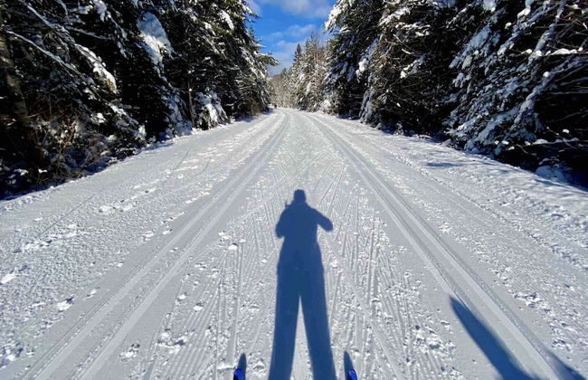 St-Sauveur Lovely Studio - Photo 57