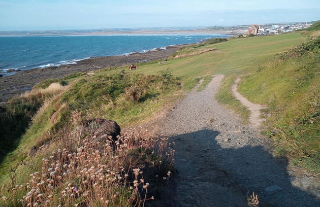 Westward HO Horizon View 17 2 Bedrooms - Foto 12