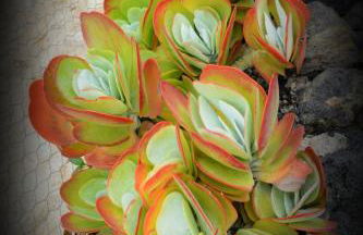 Romantic Hamlet Cottage with Private Pool La Fragua de Eliseo - Foto 60