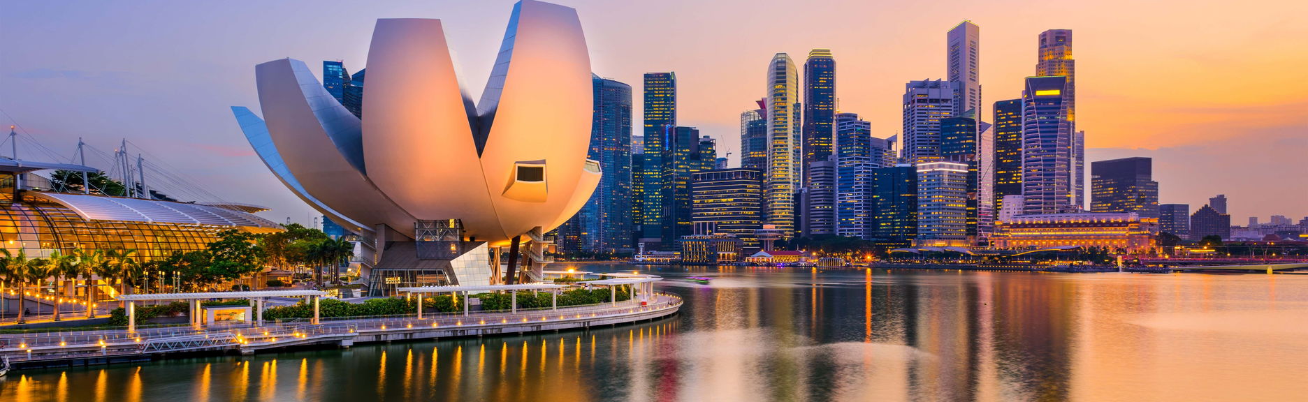 Tour nocturno por Singapur con cena