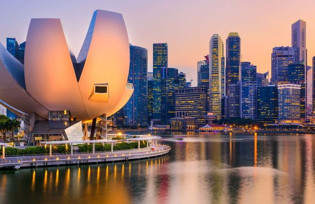 Tour serale di Singapore con cena - Foto 1