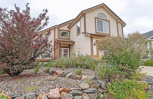 Shirley's Temple - Foto 48