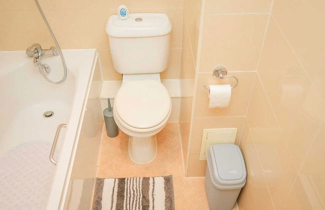 One Bedroom Flat in Gravesend Kent - Foto 19