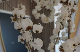 Appartement cosy 2 ch avec toit terrasse & parking - Lumineux et calme - Foto 16